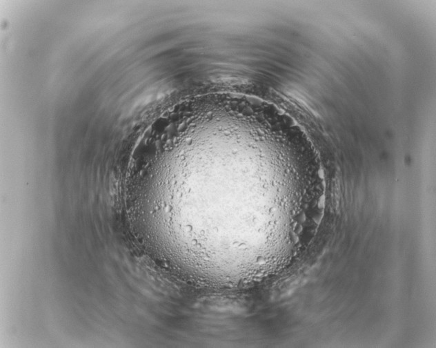 X0000086990917200704231841