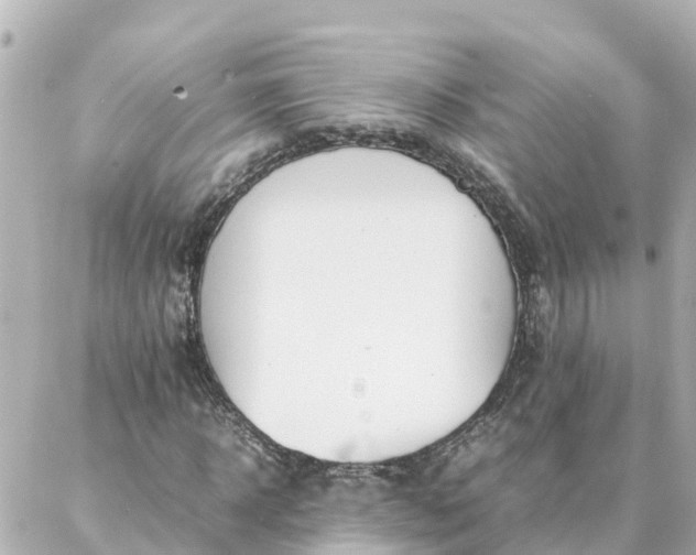 X0000086990918200704231841