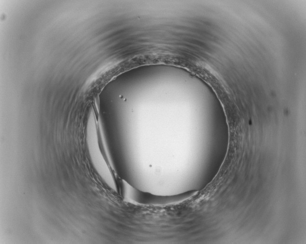 X0000086990919200704231841