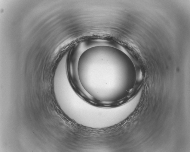 X0000086990920200704231841