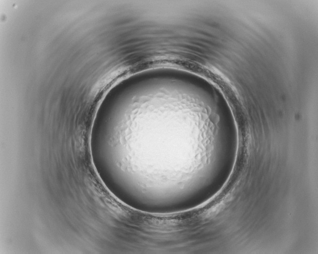 X0000086990921200704231841