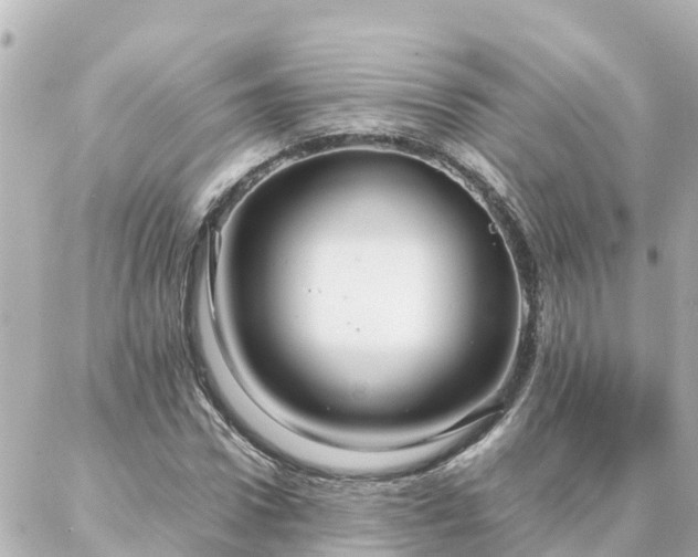 X0000086990922200704231841