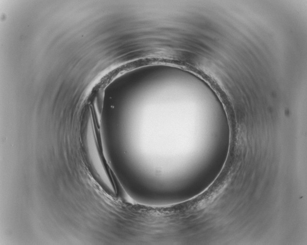 X0000086990923200704231841