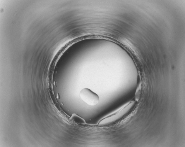 X0000086990924200704231841