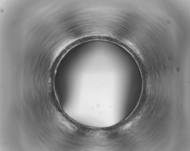 X0000086990926200704231841