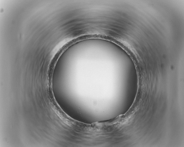 X0000086990927200704231841