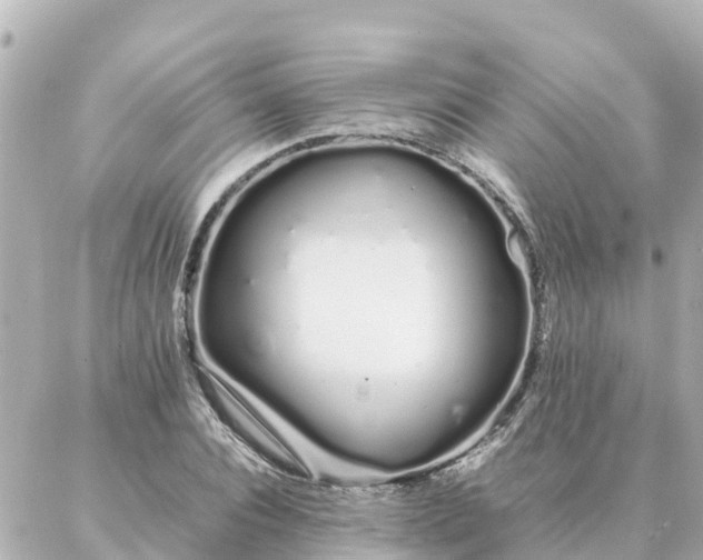 X0000086990928200704231841