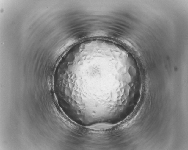 X0000086990929200704231841