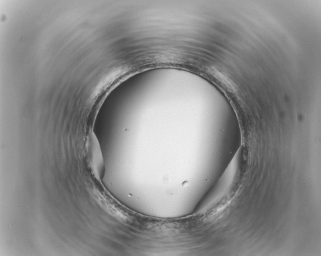 X0000086990930200704231841