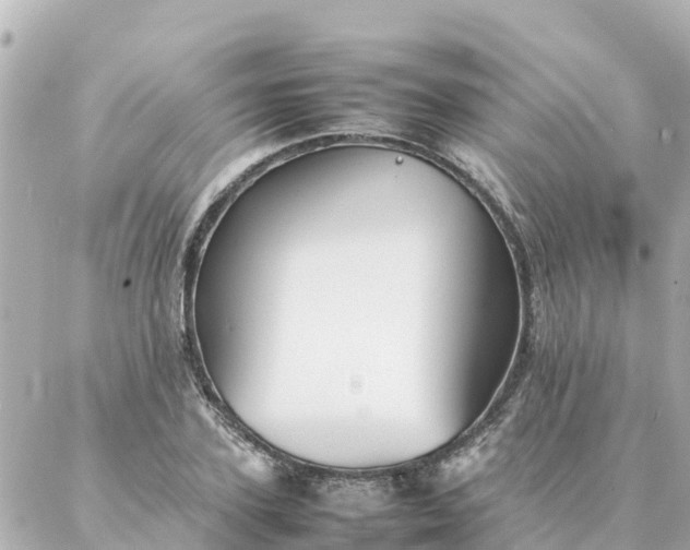 X0000086990931200704231841