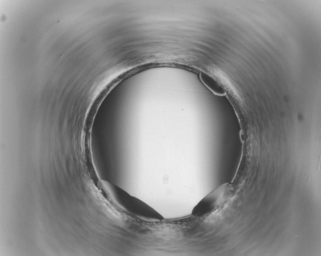 X0000086990932200704231841