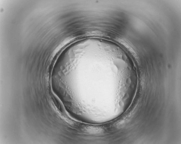 X0000086990933200704231841