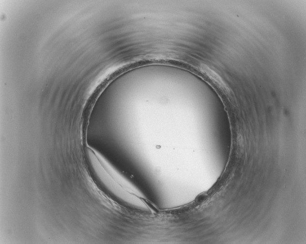 X0000086990934200704231841