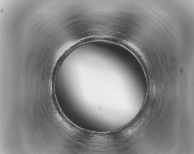 X0000086990935200704231841