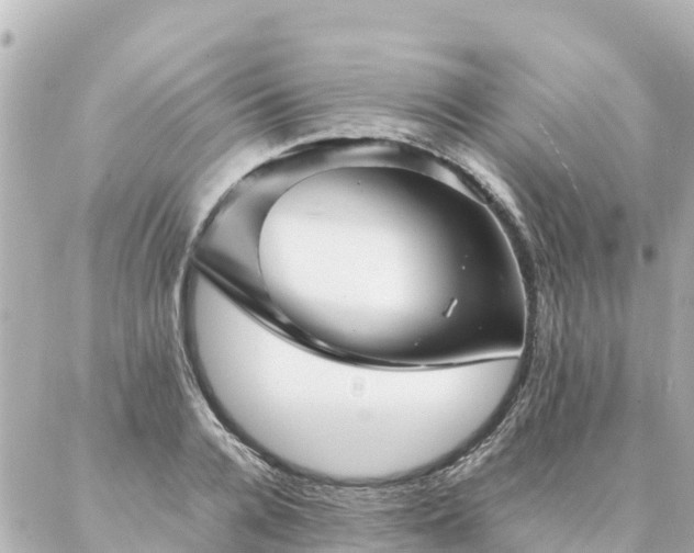 X0000086990936200704231841