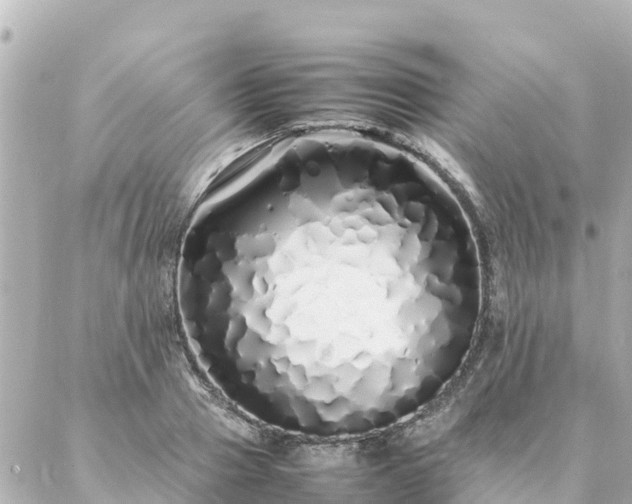 X0000086990937200704231841