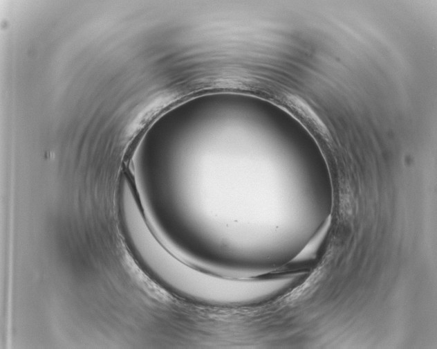 X0000086990938200704231841