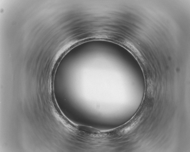 X0000086990939200704231841