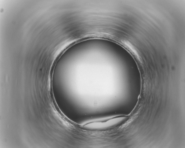 X0000086990940200704231841