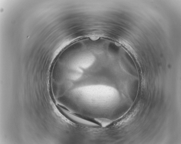 X0000086990941200704231841