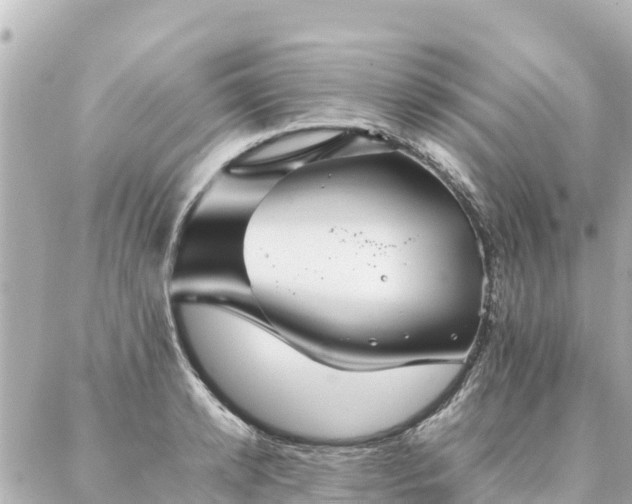 X0000086990942200704231841