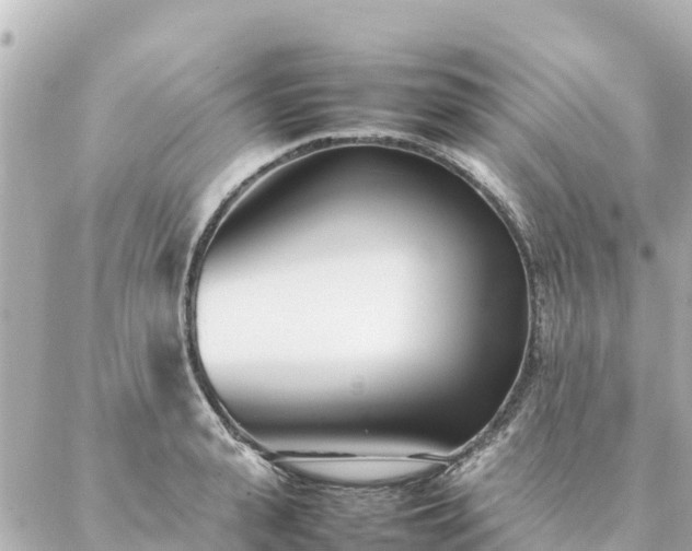 X0000086990943200704231841