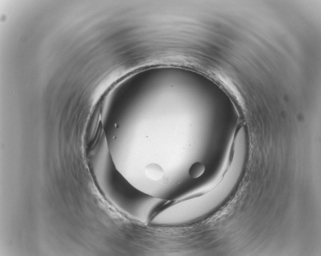 X0000086990944200704231841