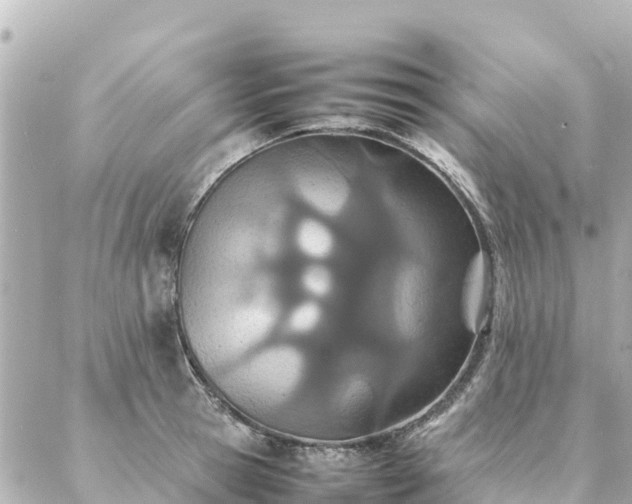 X0000086990945200704231841