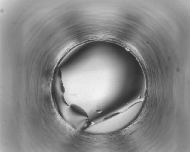 X0000086990946200704231841