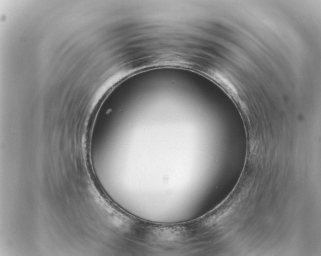 X0000086990947200704231841