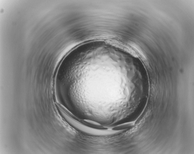 X0000086990948200704231841