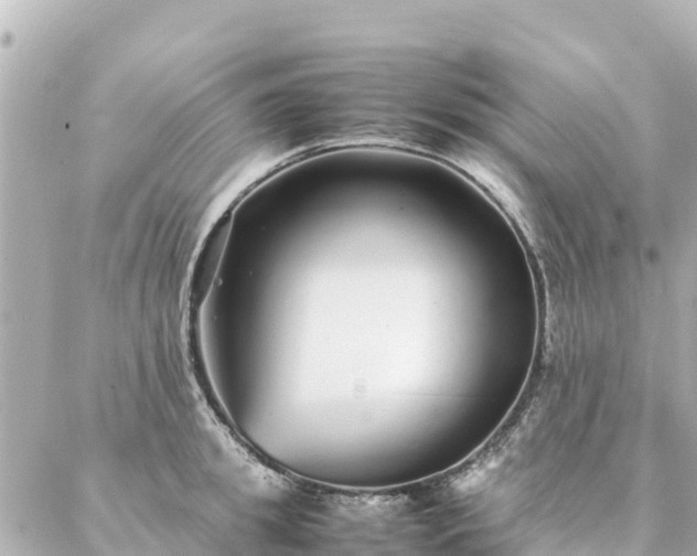 X0000086990949200704231841