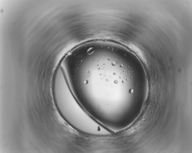 X0000086990950200704231841