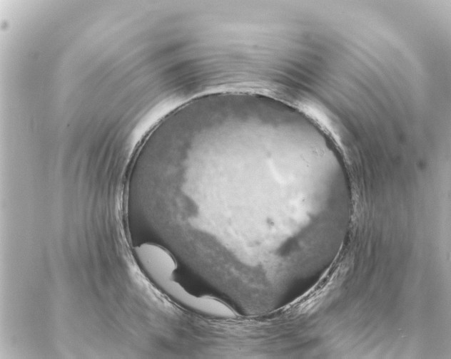 X0000086990952200704231841