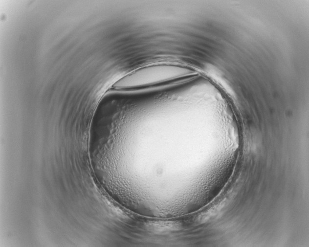 X0000086990953200704231841