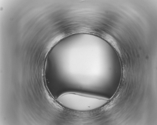 X0000086990954200704231841