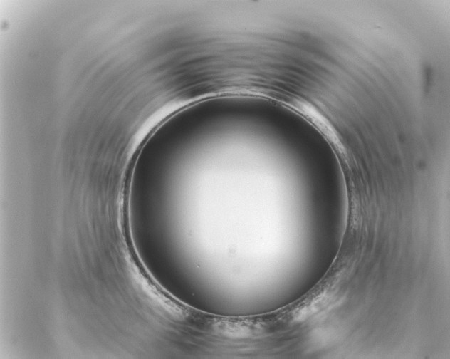 X0000086990955200704231841