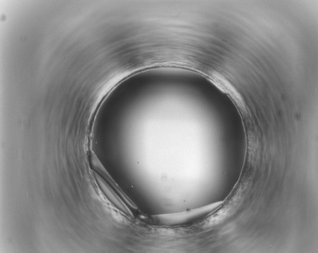 X0000086990956200704231841