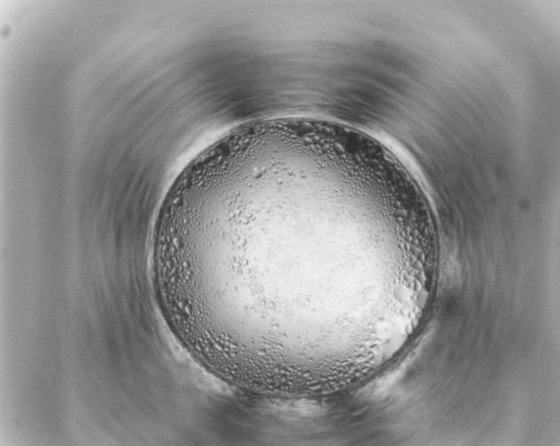 X0000086990957200704231842