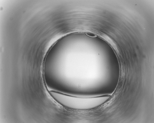 X0000086990958200704231842