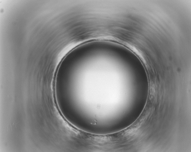 X0000086990959200704231842