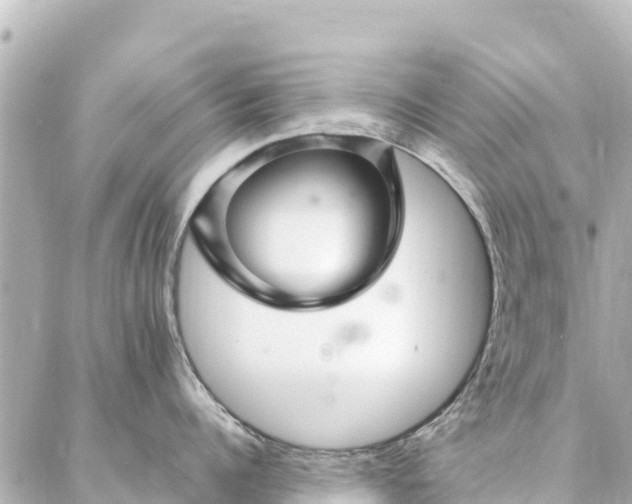 X0000086990960200704231842