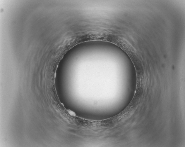 X0000086990961200704231841