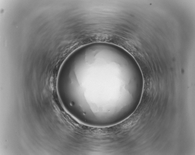 X0000086990962200704231841