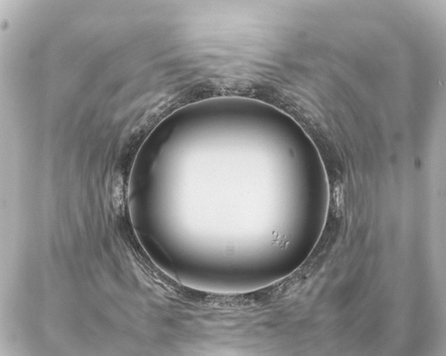 X0000086990963200704231841