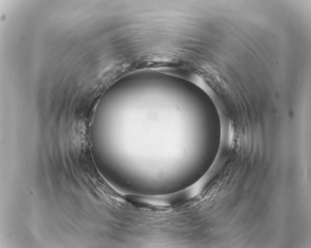 X0000086990964200704231841