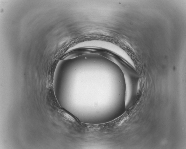 X0000086990965200704231841