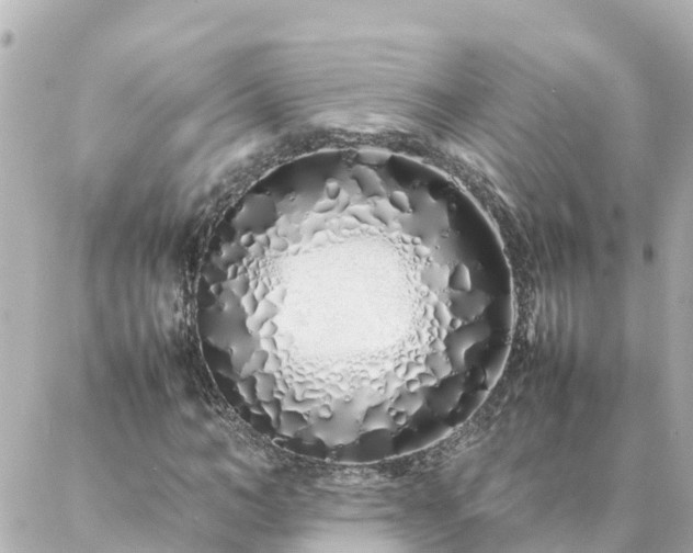 X0000086990966200704231841