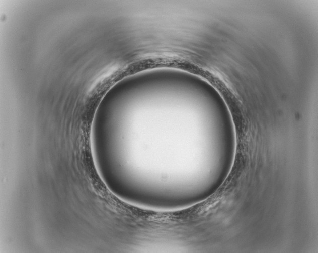 X0000086990967200704231841