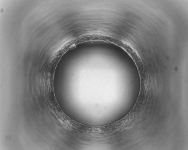 X0000086990968200704231841